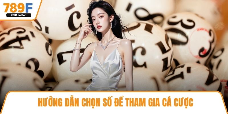 Hướng dẫn chọn số để tham gia cá cược
