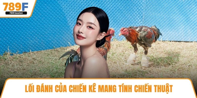 Lối đánh của chiến kê mang tính chiến thuật