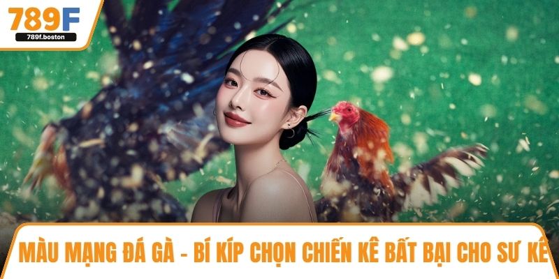 Màu mạng gà đá