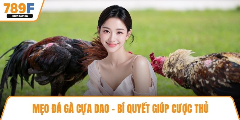 Mẹo đá gà cựa dao