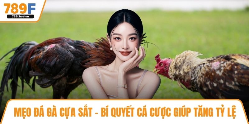 Mẹo đá gà cựa sắt