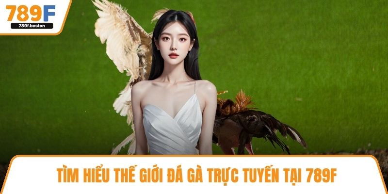 Tìm hiểu thế giới đá gà trực tuyến tại 789f